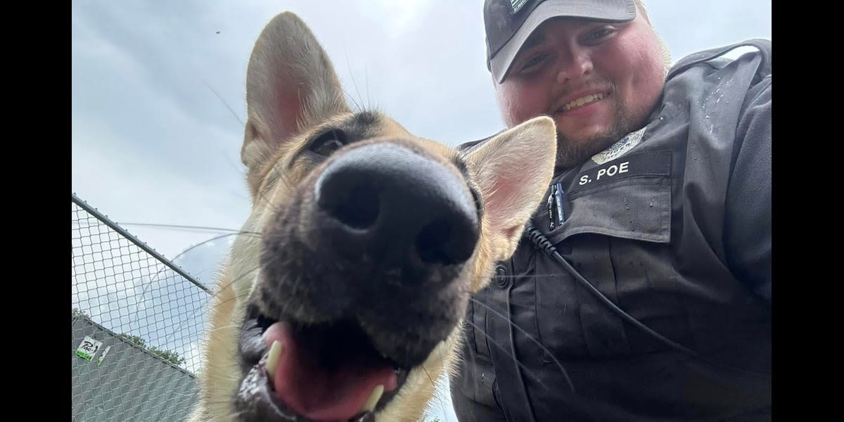 Public safety officer adopts dog rescued from hot car in hotel parking lot