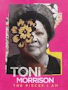 Toni Morrison: The Pieces I Am