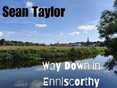 UK musician pens new song about Enniscorthy