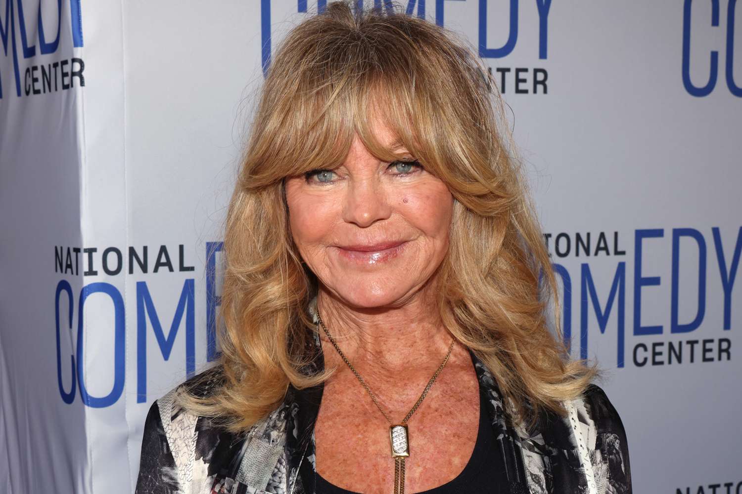 Goldie Hawn Says She Would Love to Make a Movie with Her Family Before They All Get 'Too Old'