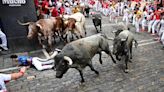 Fotos del séptimo encierro de San Fermín 2024 con toros de José Escolar