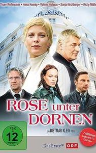 Rose unter Dornen