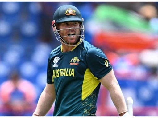 David Warner Passes Baton To Jake Fraser-McGurk, Says 'All Yours Now Champion'