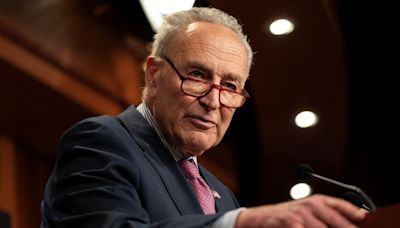 Chuck Schumer’s Father’s Day Grill Post Goes Up in Flames