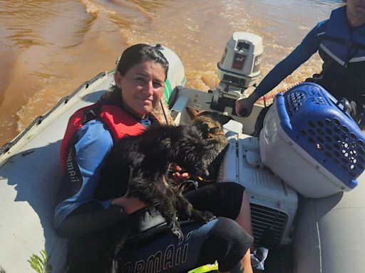Grupos atuam no resgate de animais afetados pelas chuvas no Rio Grande Sul; veja como ajudar