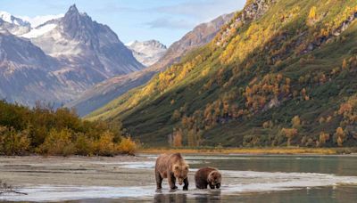 This Remote National Park in Alaska Has a Grizzly Bear Camp — Here's What It's Like to Spend the Night