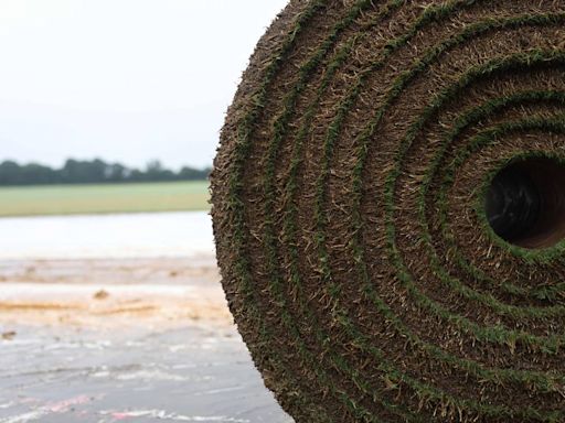 Fields of dreams: North Carolina grass farm sows success for sports across the USA