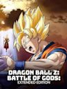 Dragon Ball Z: Battle of Gods