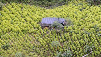 Colombia y Estados Unidos lograron un nuevo acuerdo para la medición de resultados en la lucha contra el narcotráfico