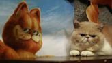 ‘Garfield,’ ‘Furiosa’ repeat atop box office charts as slow summer chugs on | KFI AM 640