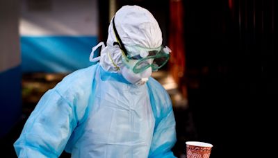 Rwanda's Marburg disease outbreak with unknown source kills 11: All we know