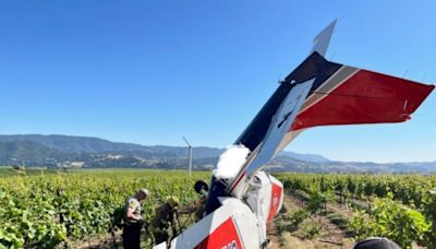 Pilot suffers serious injuries after plane goes down in Santa Barbara wine country