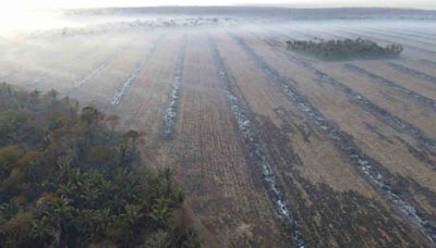 Emiten alerta roja por las altas temperaturas - El Diario - Bolivia