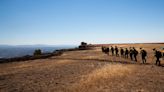 Northern California Wildfire Slows, Allowing Most Residents to Return Home