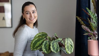 Millennials and house plants: ‘I couldn’t live without plants; they give me so much joy’