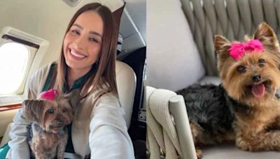 Cynthia Rodríguez llora la muerte de su perrita con desgarrador mensaje: “Me arrancaron una parte sin tí”