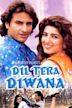 Dil Tera Diwana (1996 film)