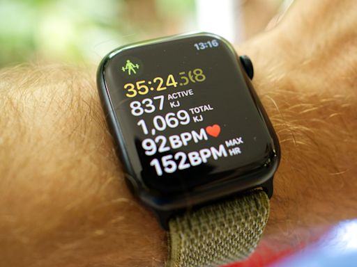 The Apple Watch Is the Perfect Hand-Me-Down Device