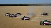 Eastern Europe's Scorching Summer Damages Corn Prospects