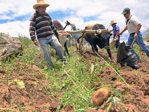 Desarollo sostenible: reconocen a empresas peruanas por su apoyo socioambiental