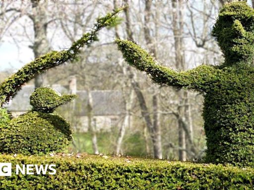 Scots gardener wins award for Moby Dick inspired hedge