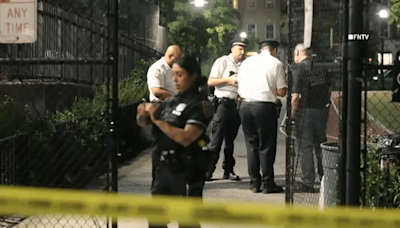 ‘Life is on the line if I go': 2 girls shot on NYC playground as mom watches from bench