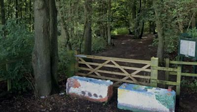 Horror as schoolgirl, 13, is dragged into woods & sexually assaulted
