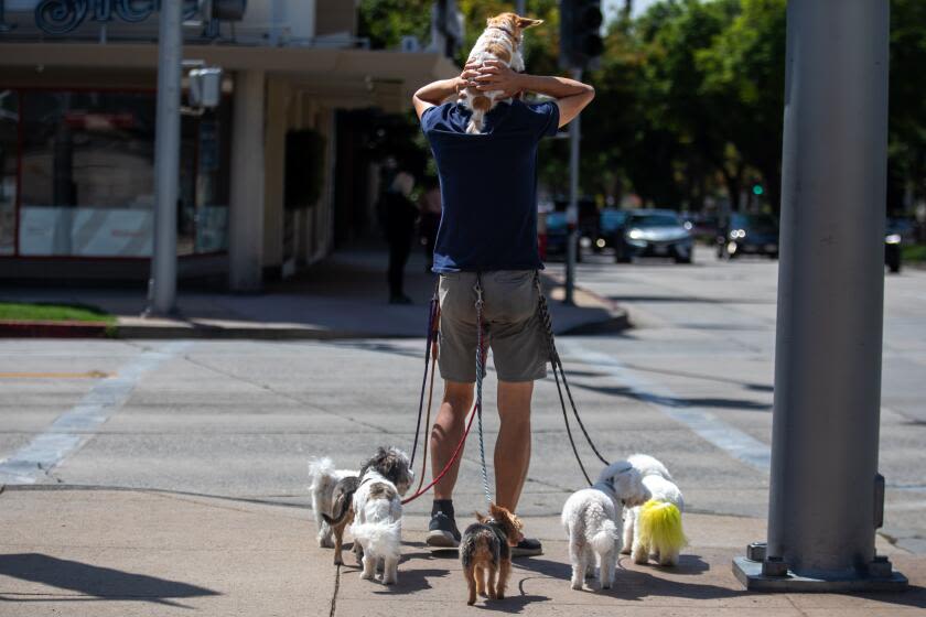 Pasadena dog owners beware: Someone is leaving food on the street that could kill your pet