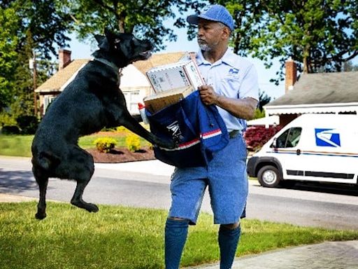 Cleveland, Cincinnati, Columbus in top 10 for dogs biting USPS workers. See where Ohio ranks