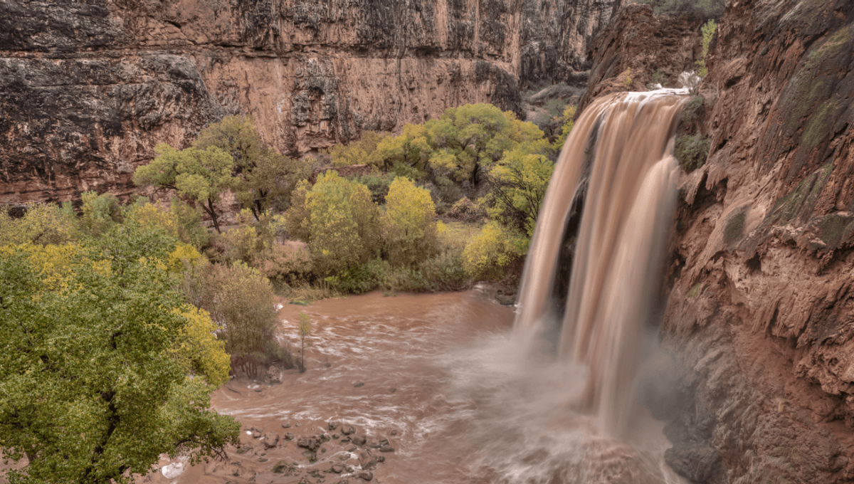 Are Grand Canyon Deaths On The Rise? Fatalities Already Nearing Annual Average