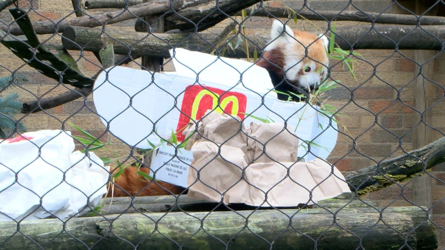 McDonald’s Day brings together a cast of characters at the Erie Zoo