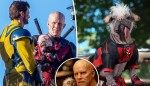 UK’s ‘ugliest dog’ becomes Hollywood royalty — starring in ‘Deadpool & Wolverine’