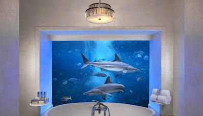 The world's best underwater hotel rooms are unbelievably cool