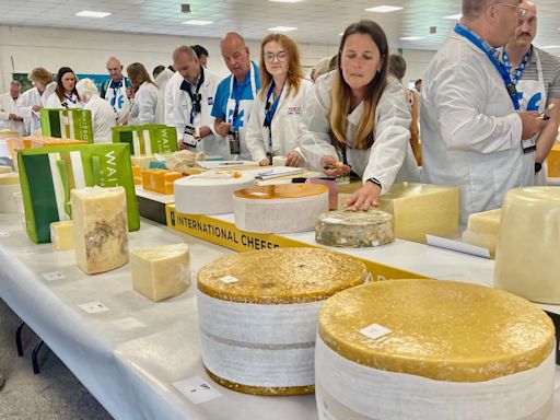 International win for stilton 'like a cheese Oscar'