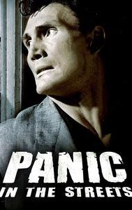 Panic in the Streets (film)