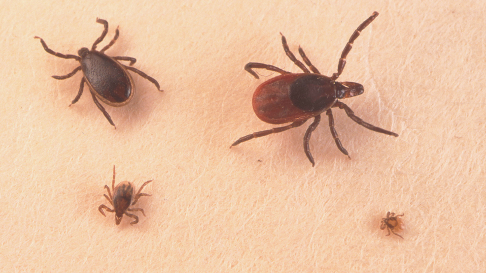 Avoiding ticks as Central New York warms up