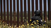 U.S. to reopen 4 border crossings as encounters drop