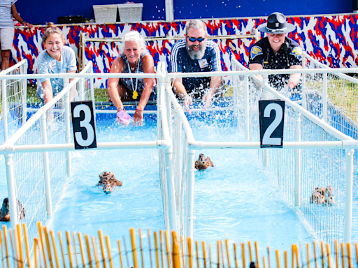 From ducks to diving dogs, 15 new things at the Indiana State Fair