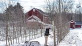 Climate change is already hurting Michigan's cherry, apple crops — and it could get worse