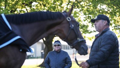 Kentucky Derby 2024: A look at the 14 horses with Florida ties