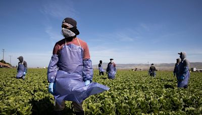 El verano se vuelve una amenaza de muerte para los trabajadores agrícolas de Estados Unidos