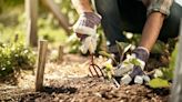 The 11 best gardening tools, according to expert gardeners | CNN Underscored