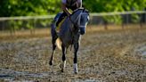 Seize the Grey wins the Preakness for D. Wayne Lukas and ends Mystik Dan’s Triple Crown bid