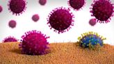 Al coronavirus le queda mucho margen para seguir evolucionando, pero ¿qué implica?