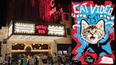 Cat Lady Furor “Absolutely Perfect” Timing Says ‘CatVideoFest’ Founder As 6th Edition Hits Theaters