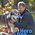 Hero Dog: The Journey Home