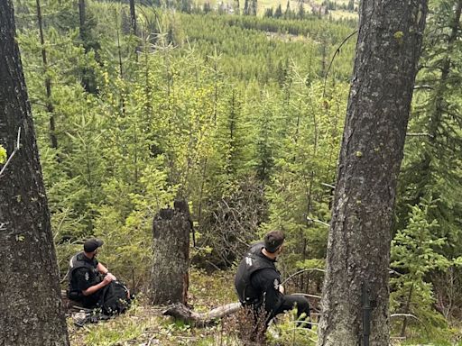 Hunter hospitalized with ‘significant injuries’ after grizzly bear attack in British Columbia | CNN