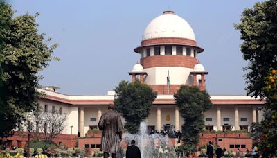 Why SC called expansion of NRI quota 'fraud', cited 2005 ruling while dismissing MBBS aspirant's plea