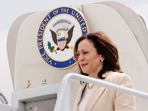 Kamala Harris Rapidly Picks Up Democratic Support as 2024 Race Is Reborn