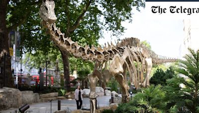 Natural History Museum Gardens: This brand-new bronze diplodocus is a huge Jurassic perk